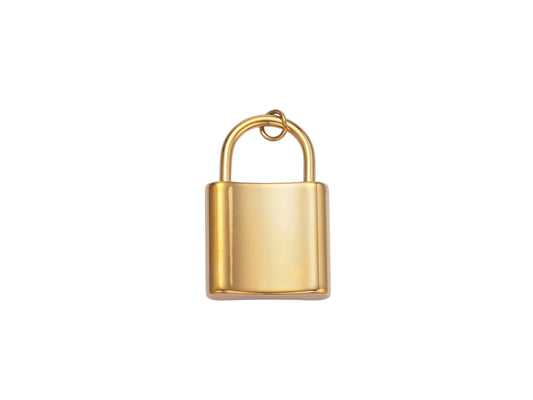 locked in fr pendant